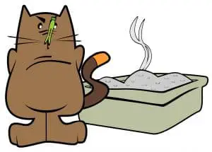 Senior Cat Pooping Outside the Litter Box