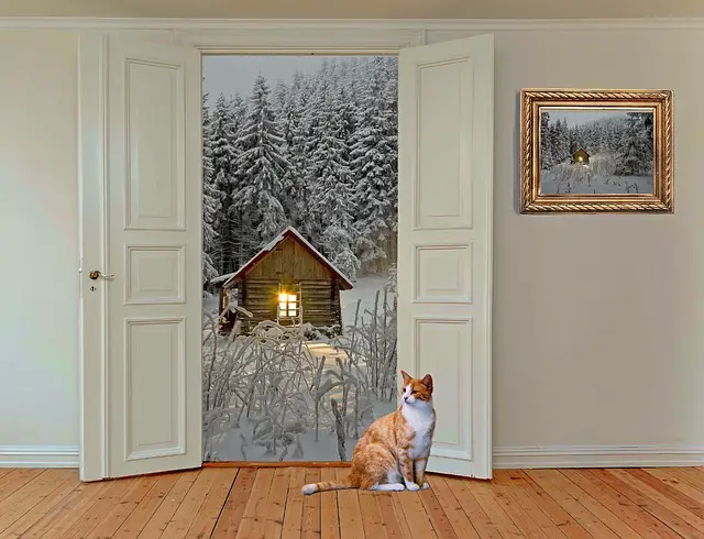 What You Need to Know About How Cats Open Doors